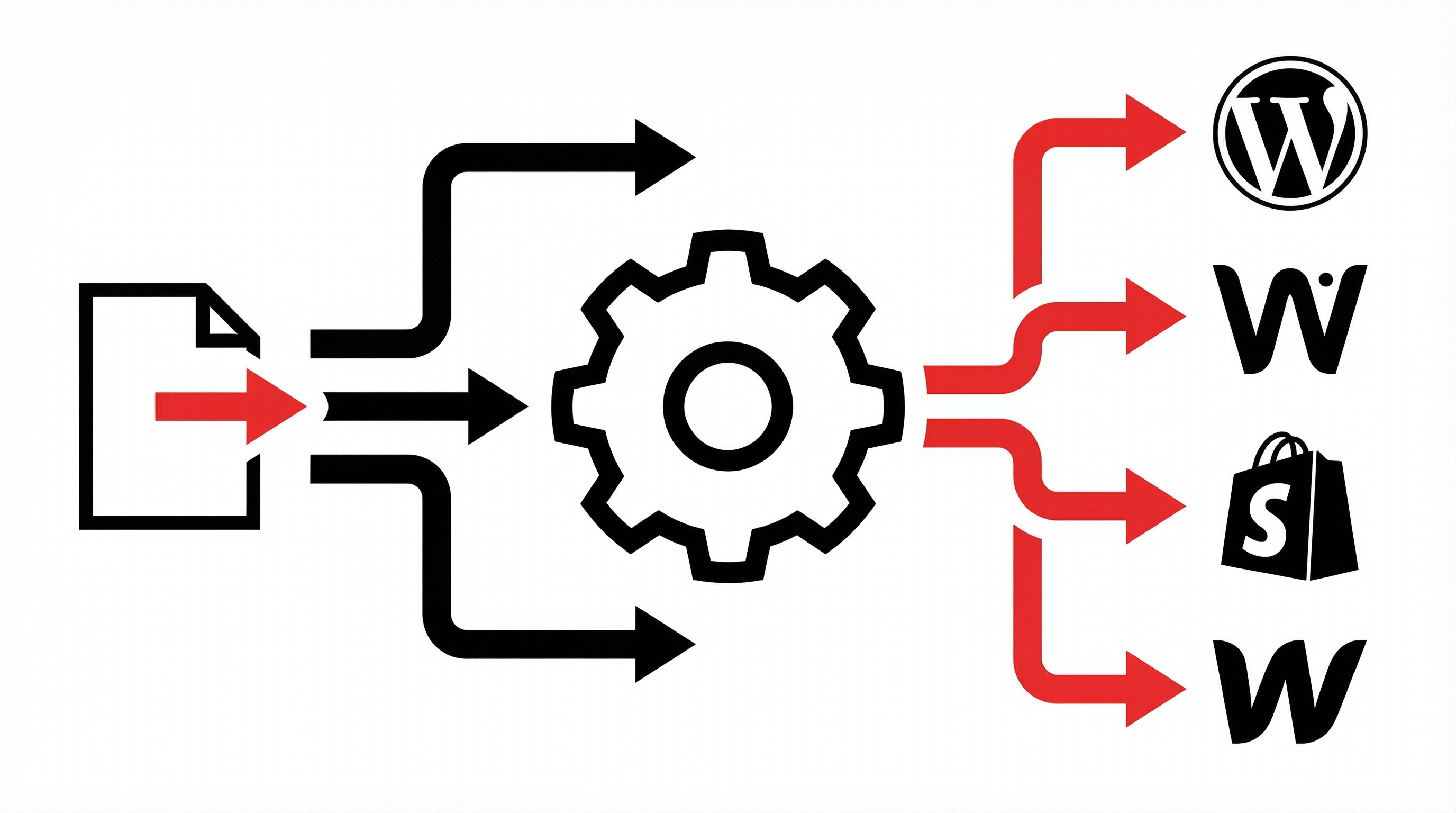 System Workflow Diagram